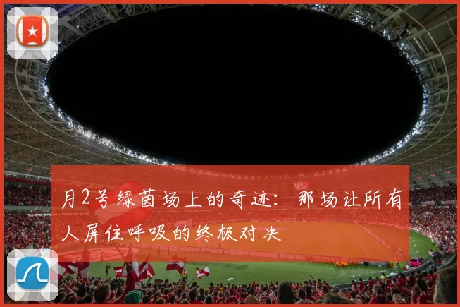 月2号绿茵场上的奇迹:那场让所有人屏住呼吸的终极对决